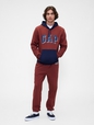Relaxed Gap Logo Colorblock Hoodie