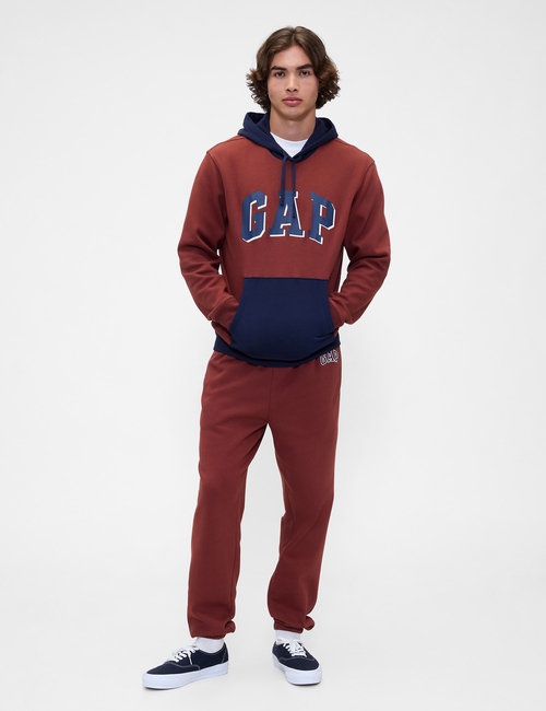 Relaxed Gap Logo Colorblock Hoodie