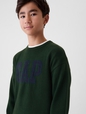 Kids Gap Logo Intarsia Sweater