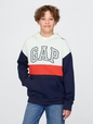 Kids Relaxed Gap Logo Colorblock Hoodie