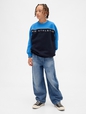Kids VintageSoft Colorblock Logo Sweatshirt