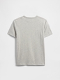 V-DIS FAM FALL LOGO TEE