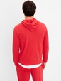 Gap Arch Logo Hoodie