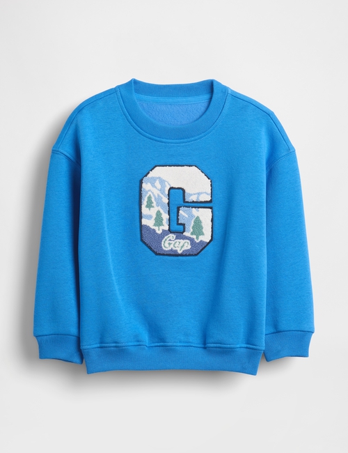 Baby & Toddler VintageSoft Graphic Logo Sweatshirt