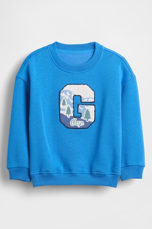 Baby & Toddler VintageSoft Graphic Logo Sweatshirt