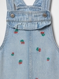babyGap Embroidered Ruffle Skirtall