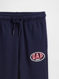 JPN IE OVAL LOGO FT JOGGER