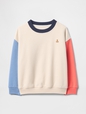 Baby & Toddler VintageSoft Sweatshirt