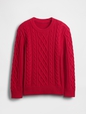 Kids Cable-Knit Crewneck Sweater