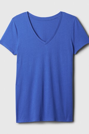 Favorite V-Neck T-Shirt