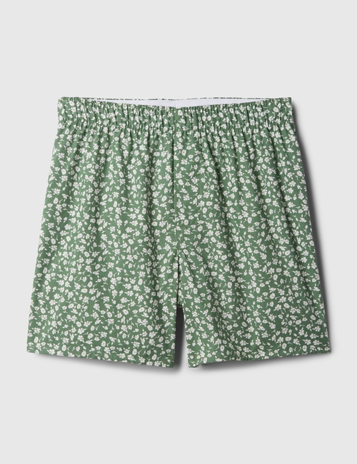 4.5" Print Boxers