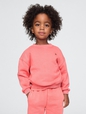 Baby & Toddler VintageSoft Sweatshirt