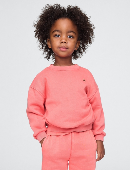Baby & Toddler VintageSoft Sweatshirt