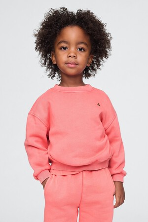 Baby & Toddler VintageSoft Sweatshirt