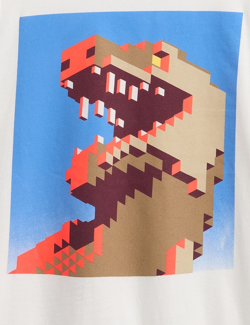 Kids Graphic T-Shirt