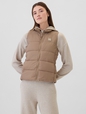 ColdControl Puffer Vest