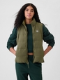 ColdControl Puffer Vest