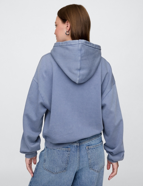VintageSoft Cropped Logo Hoodie