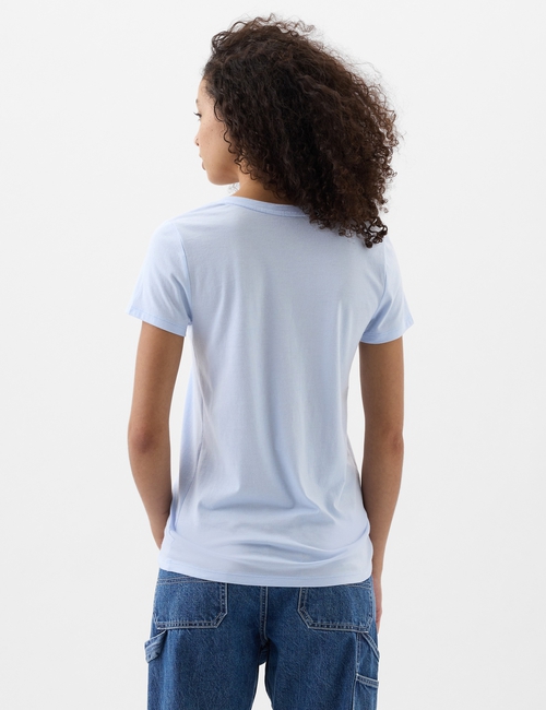 Favorite V-Neck T-Shirt