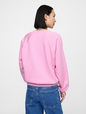 Vintage Soft Raglan Logo Sweatshirt
