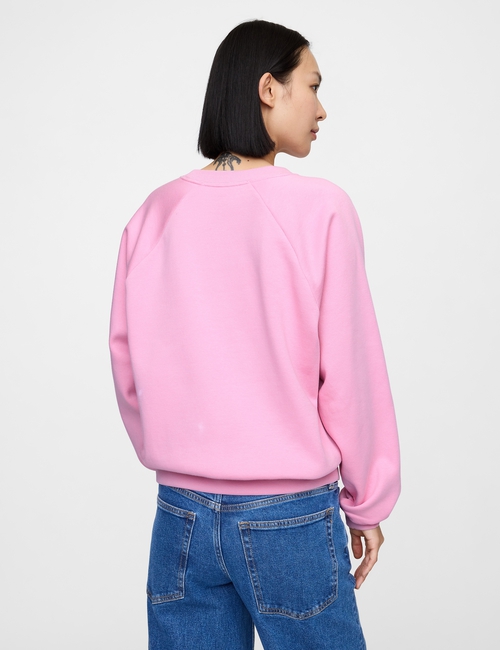 Vintage Soft Raglan Logo Sweatshirt