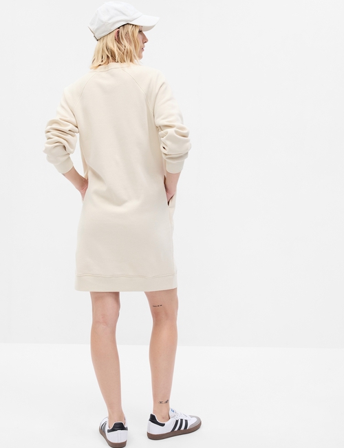 Vintage Soft Logo Sweatshirt Dress