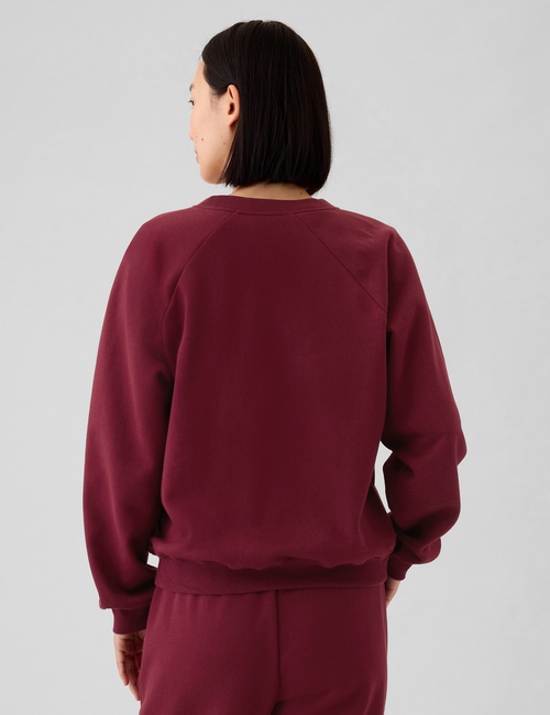 Vintage Soft Raglan Sweatshirt