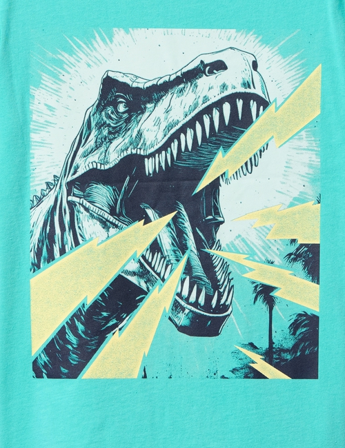 Kids Graphic T-Shirt