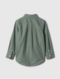 babyGap Oxford Shirt