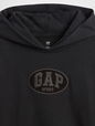 JPN IE FASH LOGO HOOD
