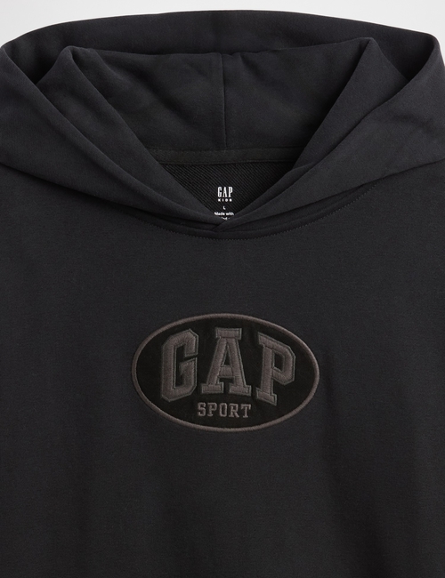 JPN IE FASH LOGO HOOD
