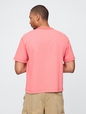 Heavyweight Cropped T-Shirt