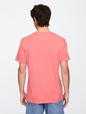 Everyday Soft Gap Graphic T-Shirt