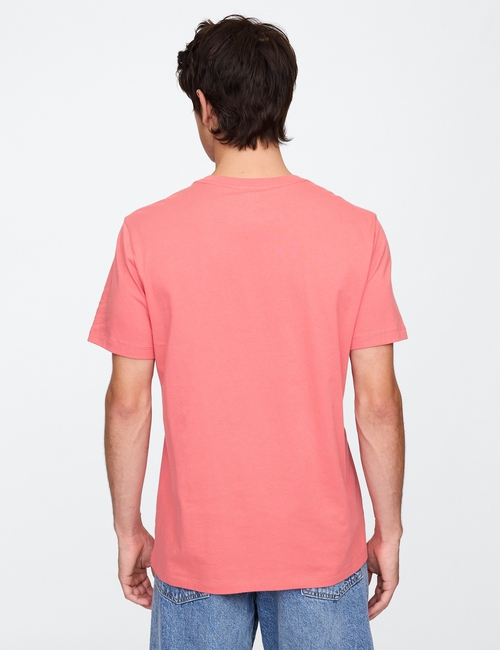 Everyday Soft Gap Graphic T-Shirt
