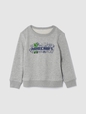 Kids Minecraft Graphic Sweatshirt