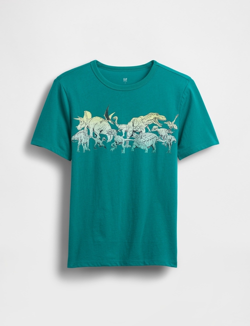 V-DEC SS VAL GRAPHIC