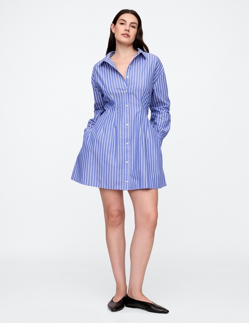 Stripe Poplin Mini Shirtdress