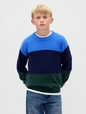 Kids CashSoft Relaxed Crewneck Sweater