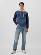 Gap Logo Colorblock Zip Hoodie