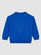babyGap Vintage Soft Logo Sweatshirt