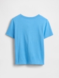 babyGap Graphic T-Shirt