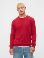 Crewneck Sweater