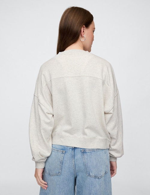 Vintage Soft French Terry Wedge V-Neck Sweatshirt