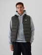 ColdControl Puffer Vest