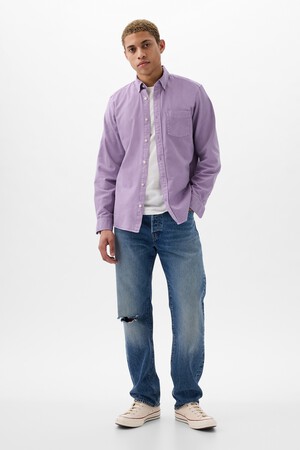 Oxford Shirt in Standard Fit