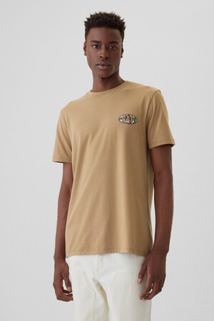 Everyday Soft Gap Graphic T-Shirt