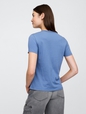 Gap Crewneck Graphic T-Shirt