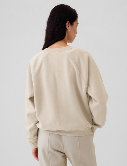Vintage Soft Raglan Sweatshirt