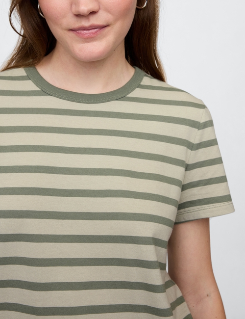 Favorite Stripe Crewneck T-Shirt