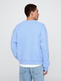 Vintage Soft Logo Sweatshirt